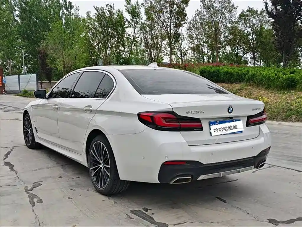 BMW 5 Series 2021 530Li Executive Luxury Package фото 7