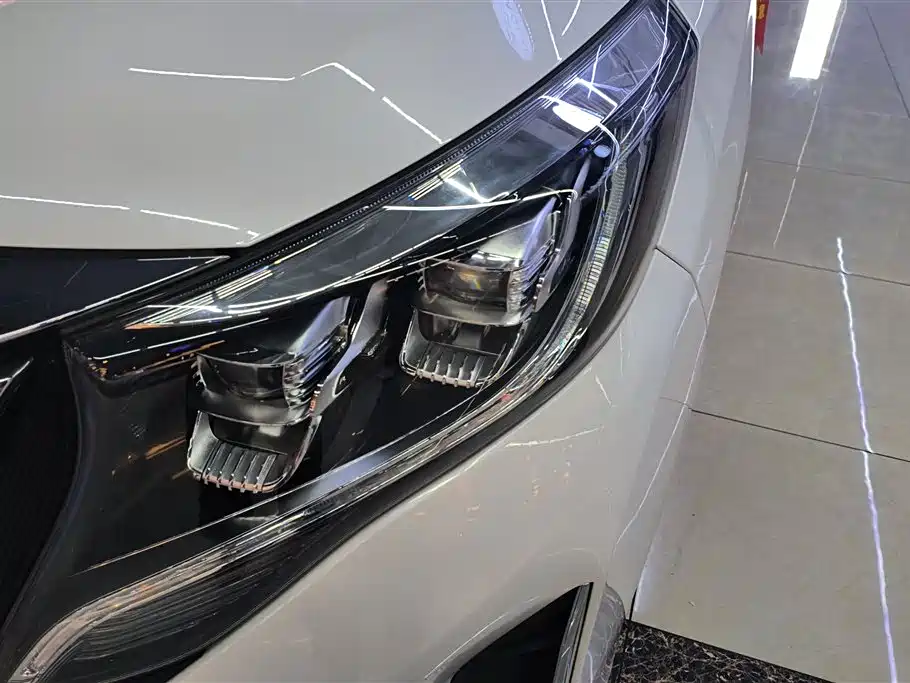 GAC Trumpchi Trumpchi M8 2021 Leading Show Series 390T Prestige Edition фото 5