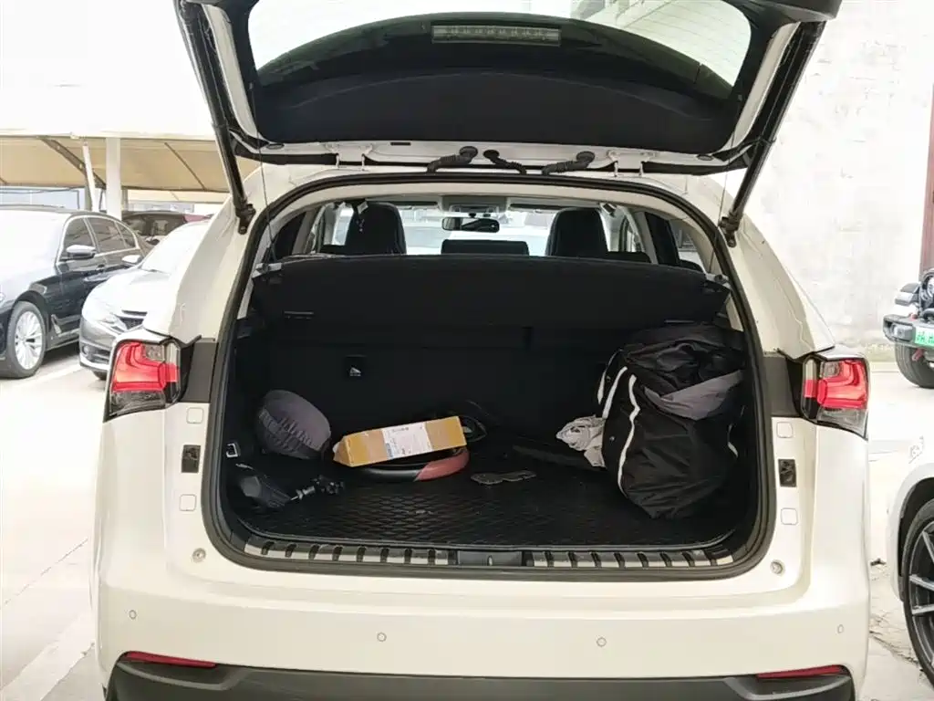 Lexus NX 2015 300h FWD Luxury фото 15