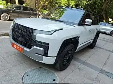  Yangwang Yangwang U8 2023 Luxury Edition
