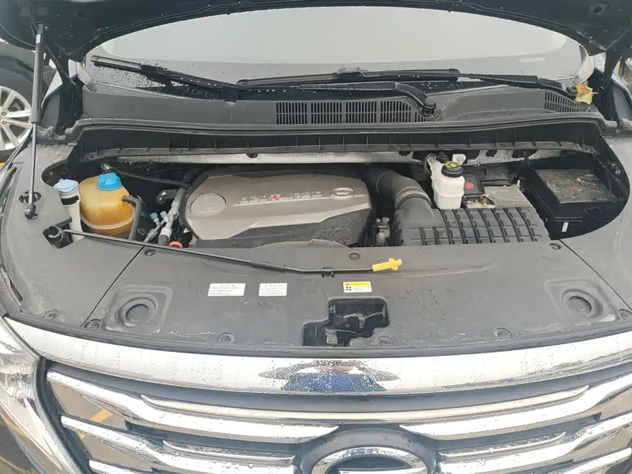 GAC Trumpchi Trumpchi M8 2018 320T Premium Edition фото 10