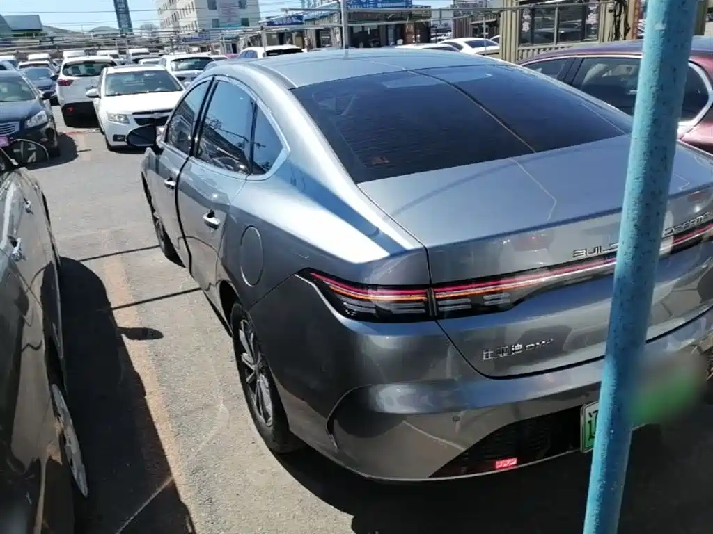 BYD Destroyer 05 2024 Glory Edition DM-i 55KM Luxury фото 5