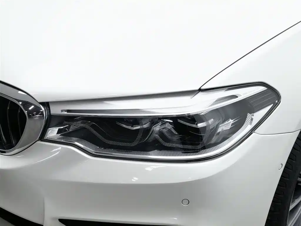 BMW 5 Series 2020 530Li Leading M Sport Package фото 7