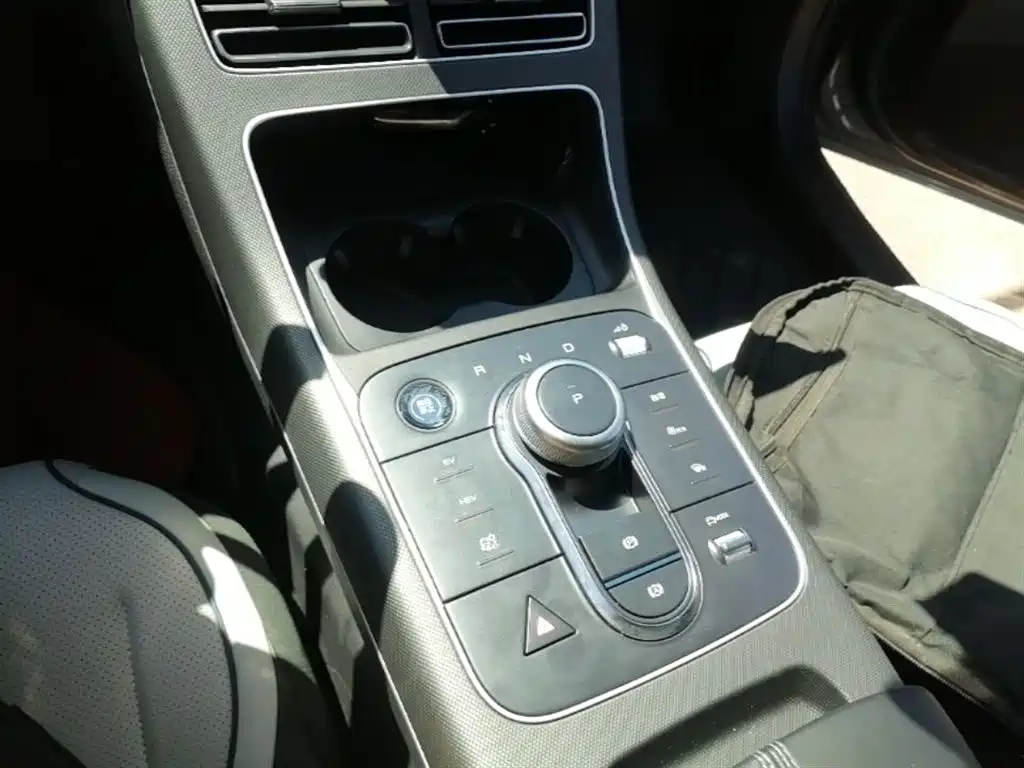 BYD Destroyer 05 2024 Glory Edition DM-i 55KM Luxury фото 14