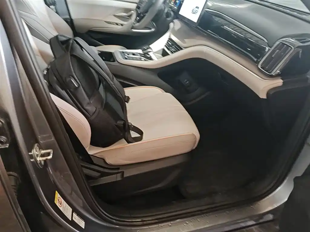 BYD Song Pro New Energy 2024 Glory Edition DM-i 71KM Pilot фото 25