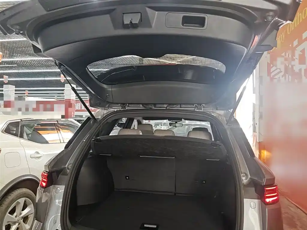 BYD Song Pro New Energy 2024 Glory Edition DM-i 71KM Pilot фото 19