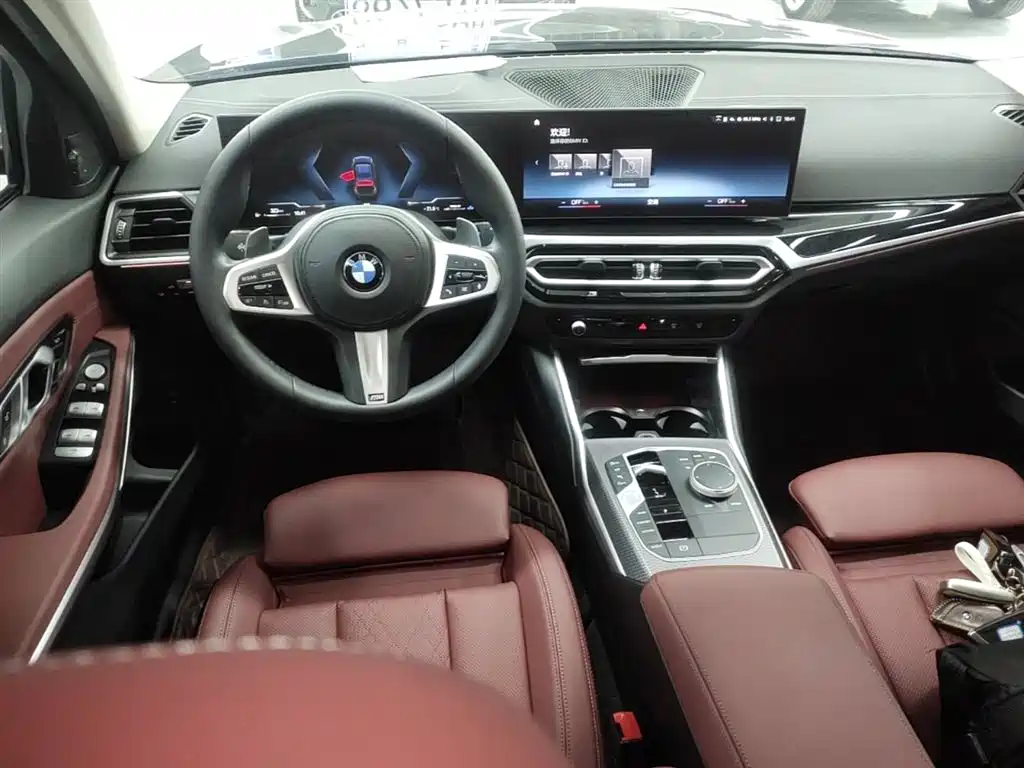 BMW 3 Series 2023 325Li M Sport Black Night Package фото 16
