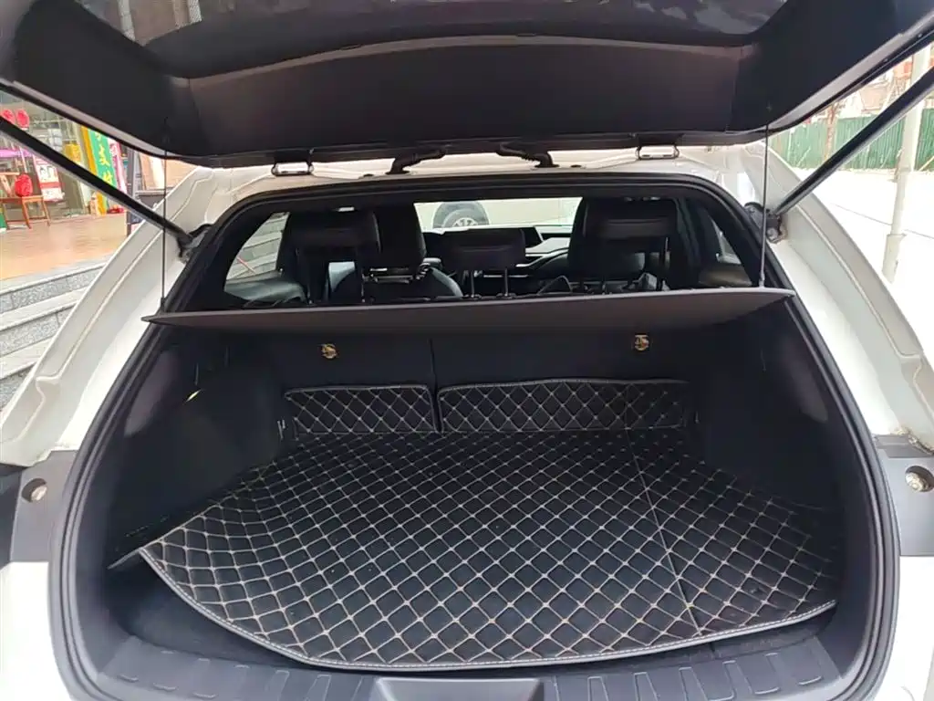 Lexus UX 2019 260h Explorer Cool Edition (China V) фото 19
