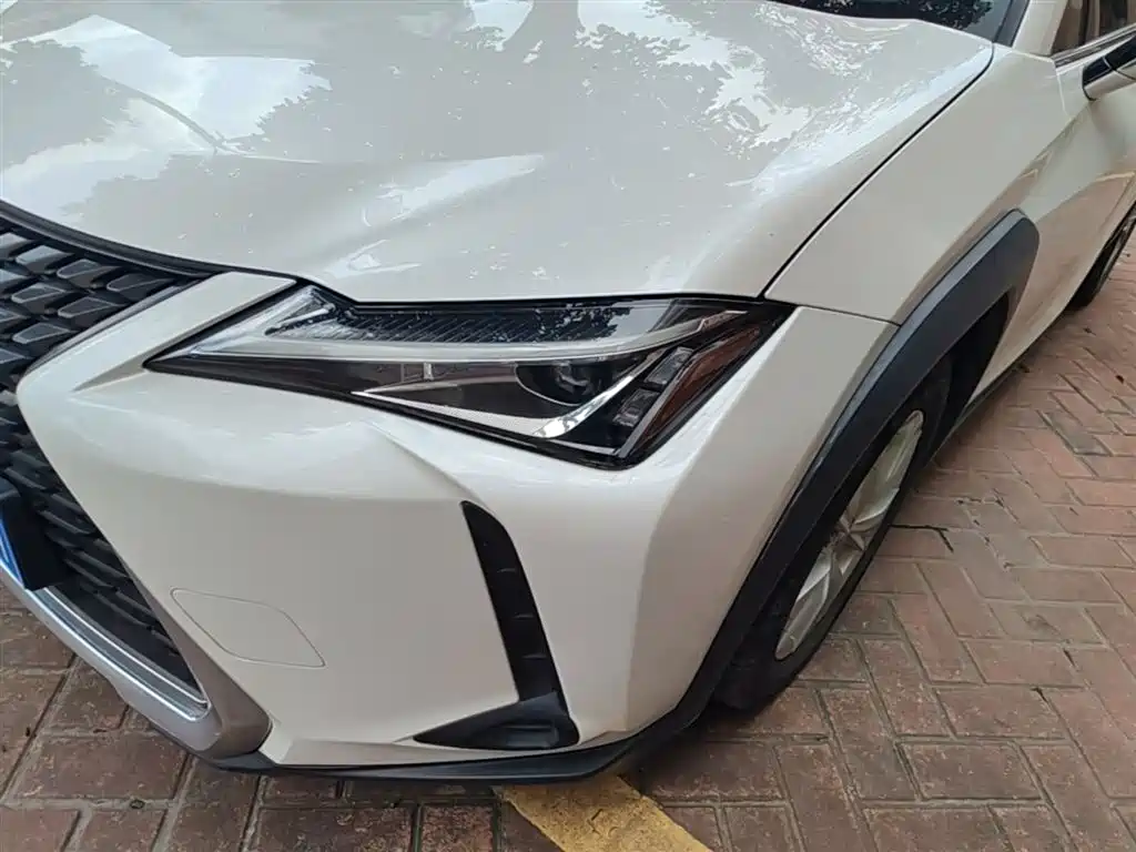 Lexus UX 2019 260h Explorer Cool Edition (China V) фото 24