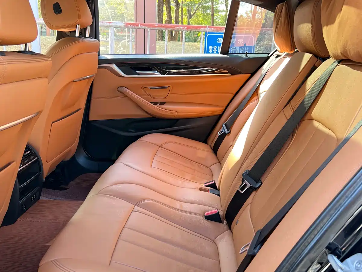 BMW 5 Series 2020 530Li Leading M Sport Package фото 21