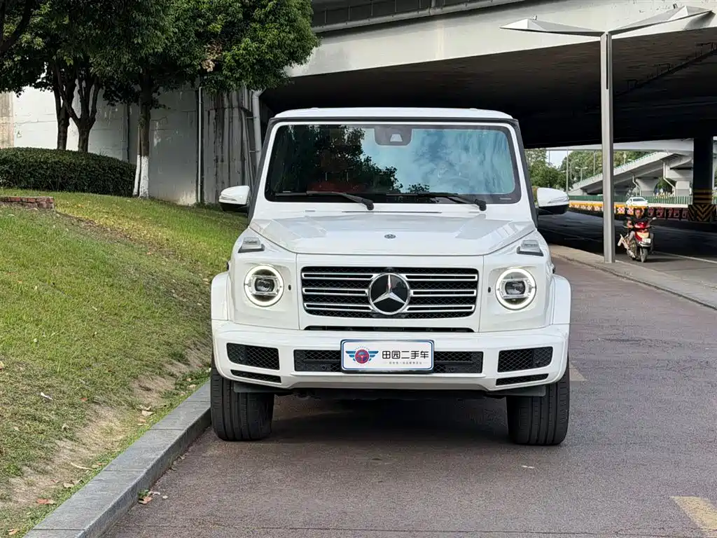 Mercedes-Benz G-Class 2020 G 500 фото 2