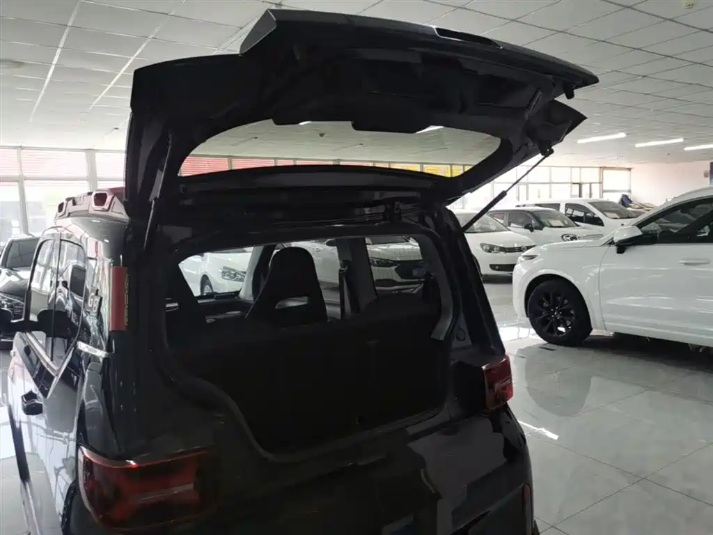 Фото 19 - Wuling Motors Hongguang MINIEV