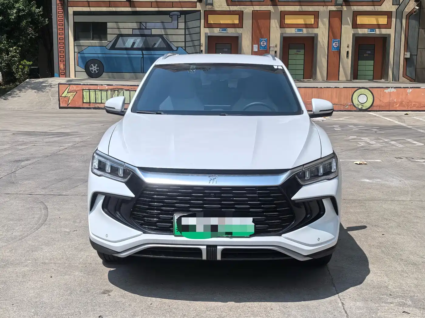 BYD Song Pro New Energy 2024 Glory Edition DM-i 71KM Leading фото 2