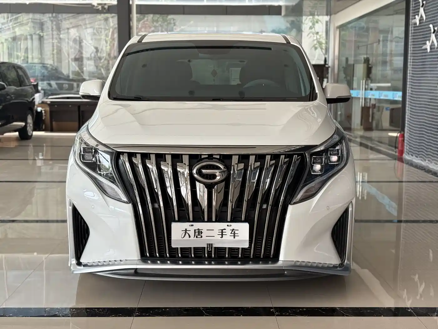 GAC Trumpchi Trumpchi M8 2021 Master Series 390T Prestige Edition фото 2