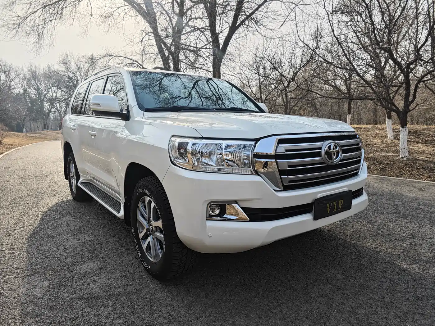 Toyota Land Cruiser (Import)