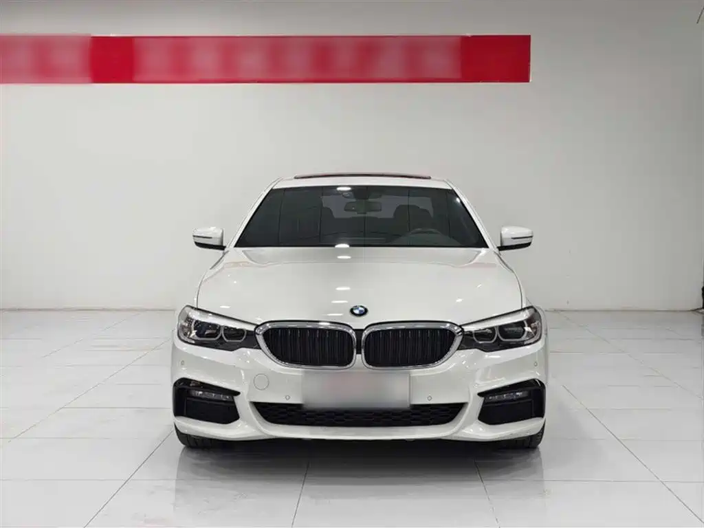 BMW 5 Series 2019 525Li M Sport Package фото 3