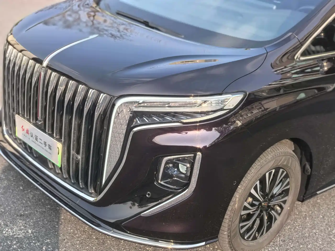 Hongqi HQ9 PHEV 2024 Model 2.0T AWD Luxury Edition фото 5