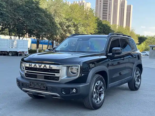 Haval Dargo 2.0T DCT, Дворняга