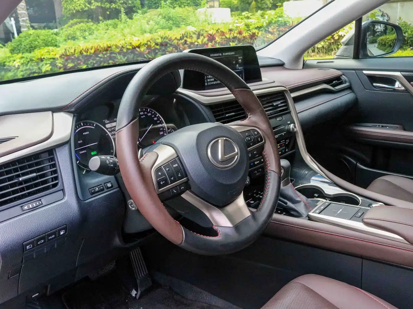 LEXUS RX