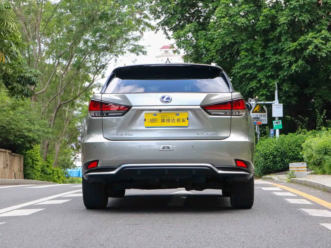 LEXUS RX