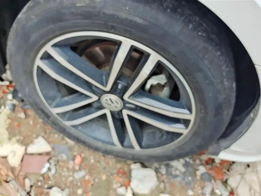 Volkswagen Lamando 2019 280TSI DSG Comfort Edition China V фото 6