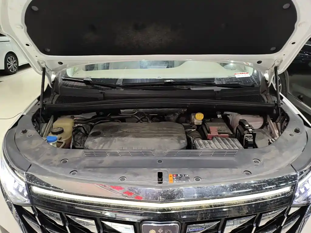 Roewe iMAX8 2024 2023 400TGI Cross Edition