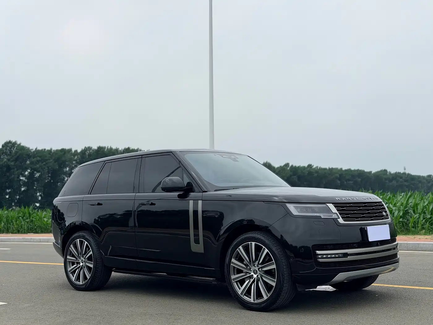 Land Rover Range Rover 2023 3.0 L6 360PS Golden Age Edition 3