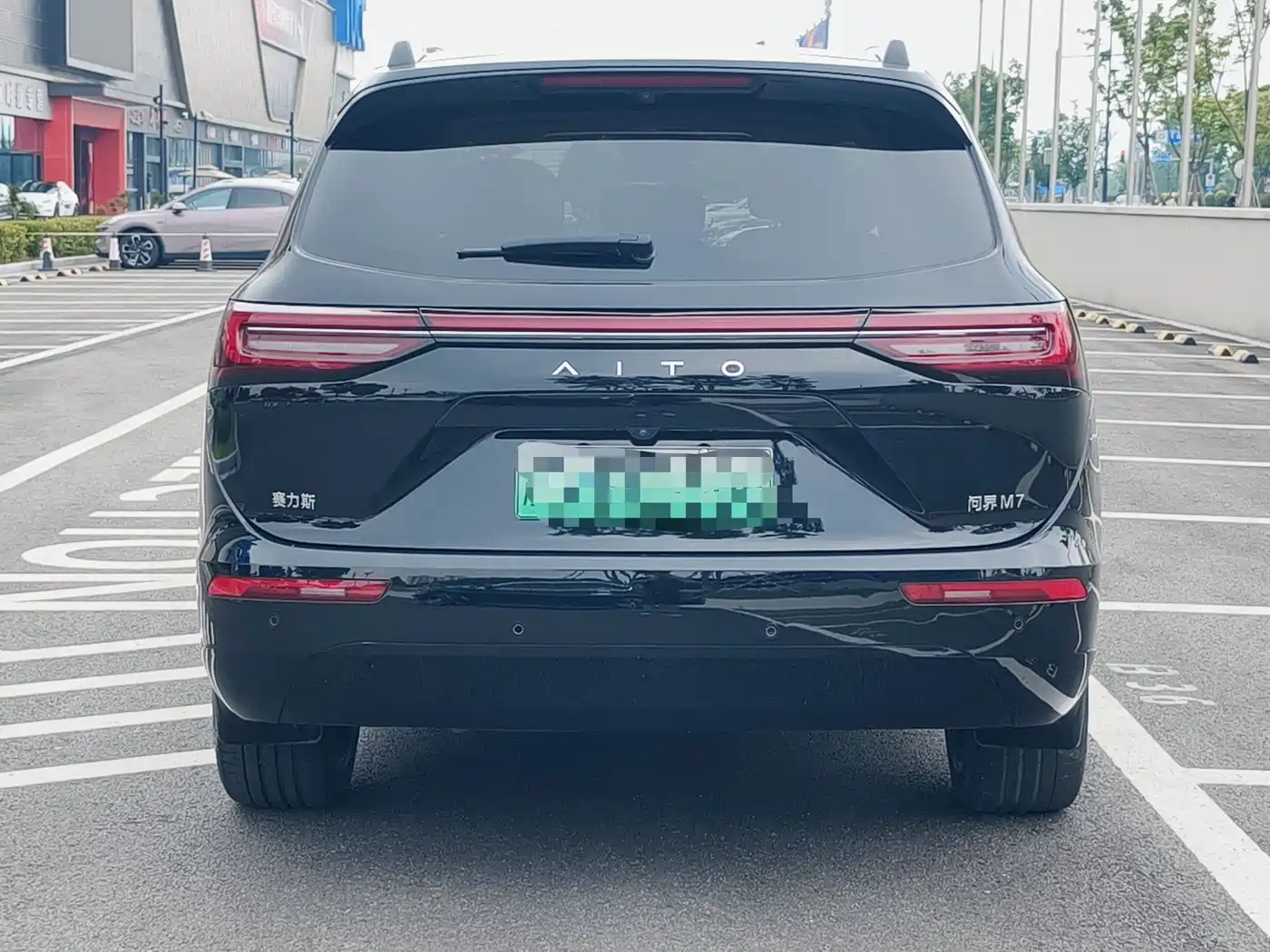 AITO Wenjie AITO M7 2024 1.5T Smart AWD Max Edition 5-Seater фото 15