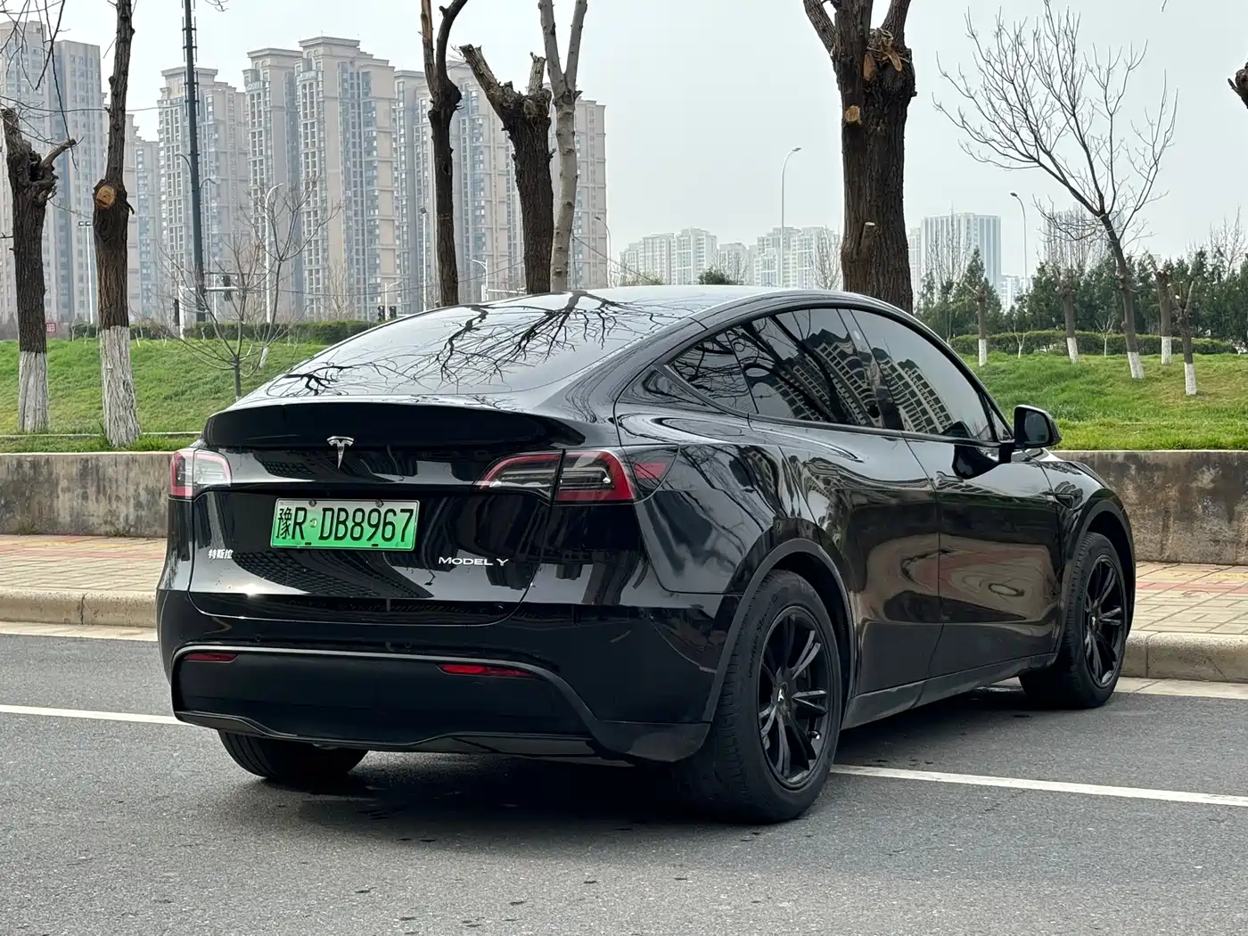 TESLA MODEL Y