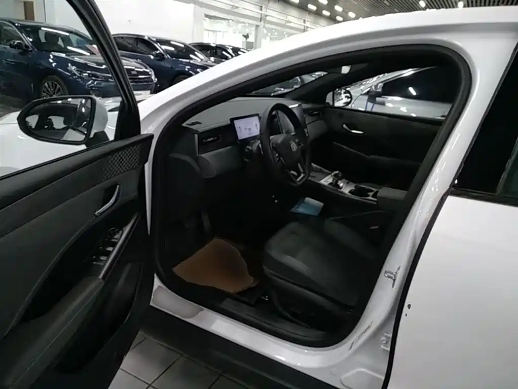 BYD Qin PLUS 2025 DM-i Smart Drive Edition 120KM Surpassing Type фото 15