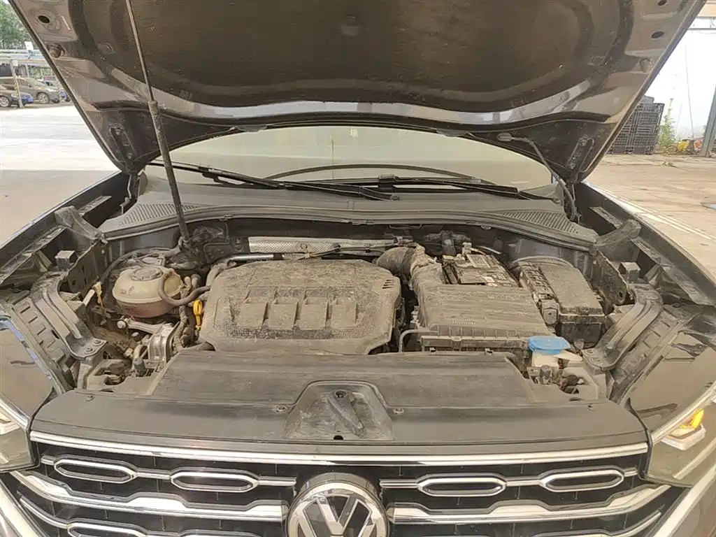 VOLKSWAGEN TANYUE