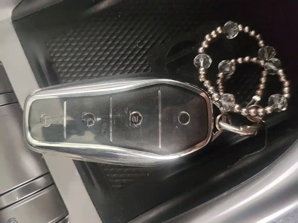 BYD Dolphin 2021 2021 401km Knight Edition