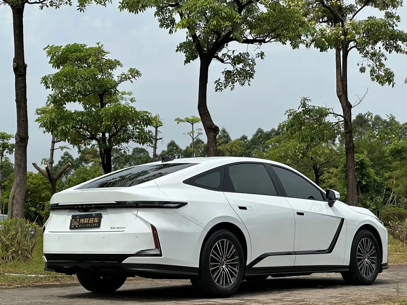 Lexus ES 2026 2025 Model 300h Base Version