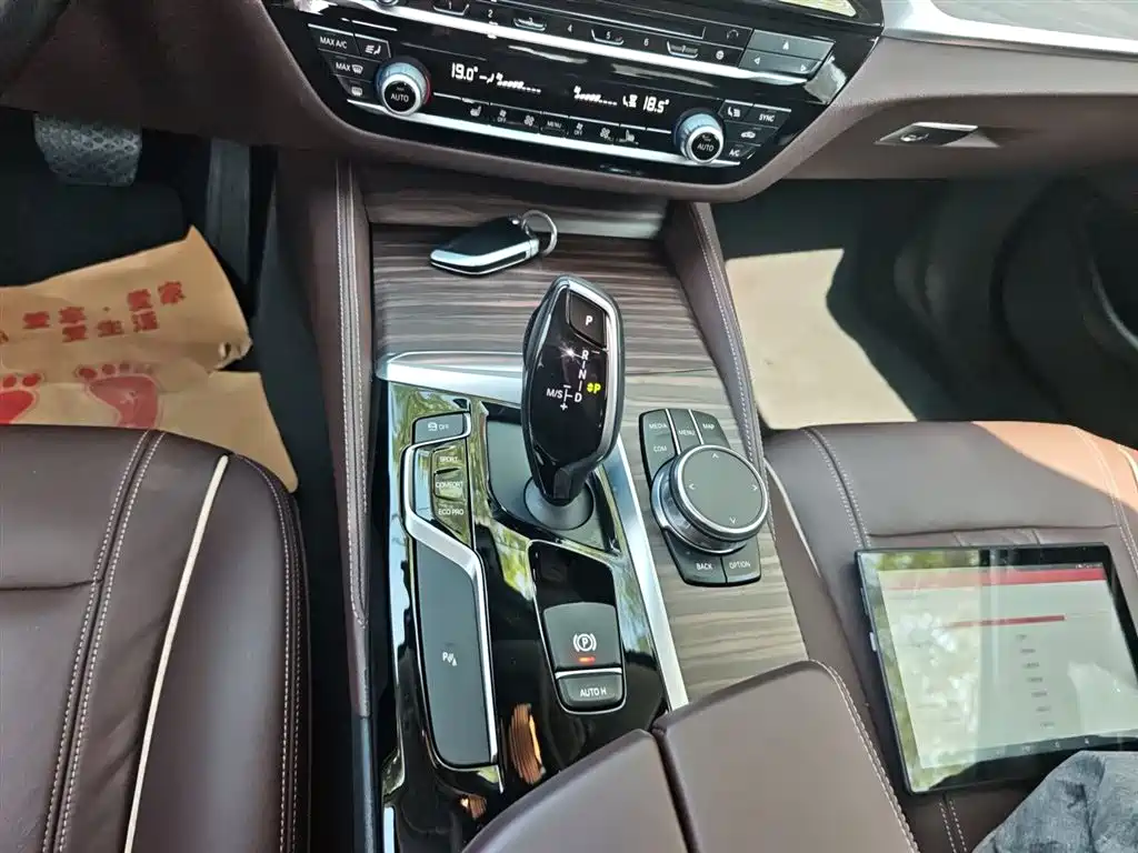 BMW 5 Series 2018 530Li Leading Luxury Package фото 10