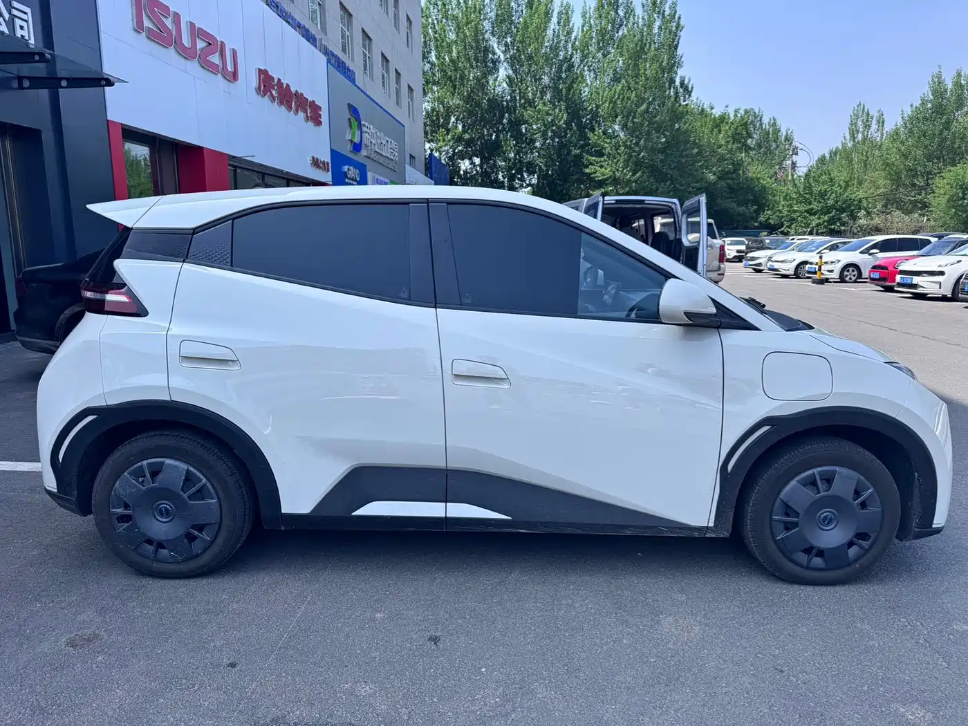BYD Seagull 2025 Smart Drive Edition 305km Vitality Version фото 6