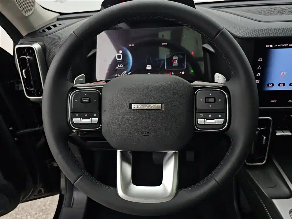 Haval Big Dog 2024 1.5T DCT Border Collie Edition фото 12