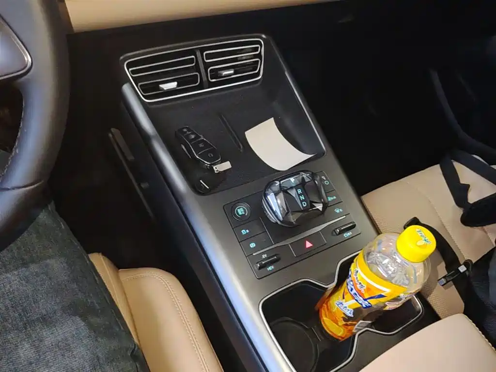 BYD Song Pro New Energy 2025 2nd Gen DM-i 75KM Leading Type фото 13