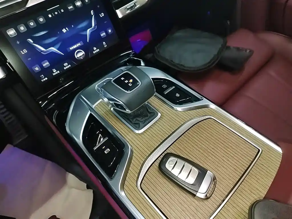 Hongqi E-HS9 2022 660km Qi Chang Edition (6-seater) фото 14