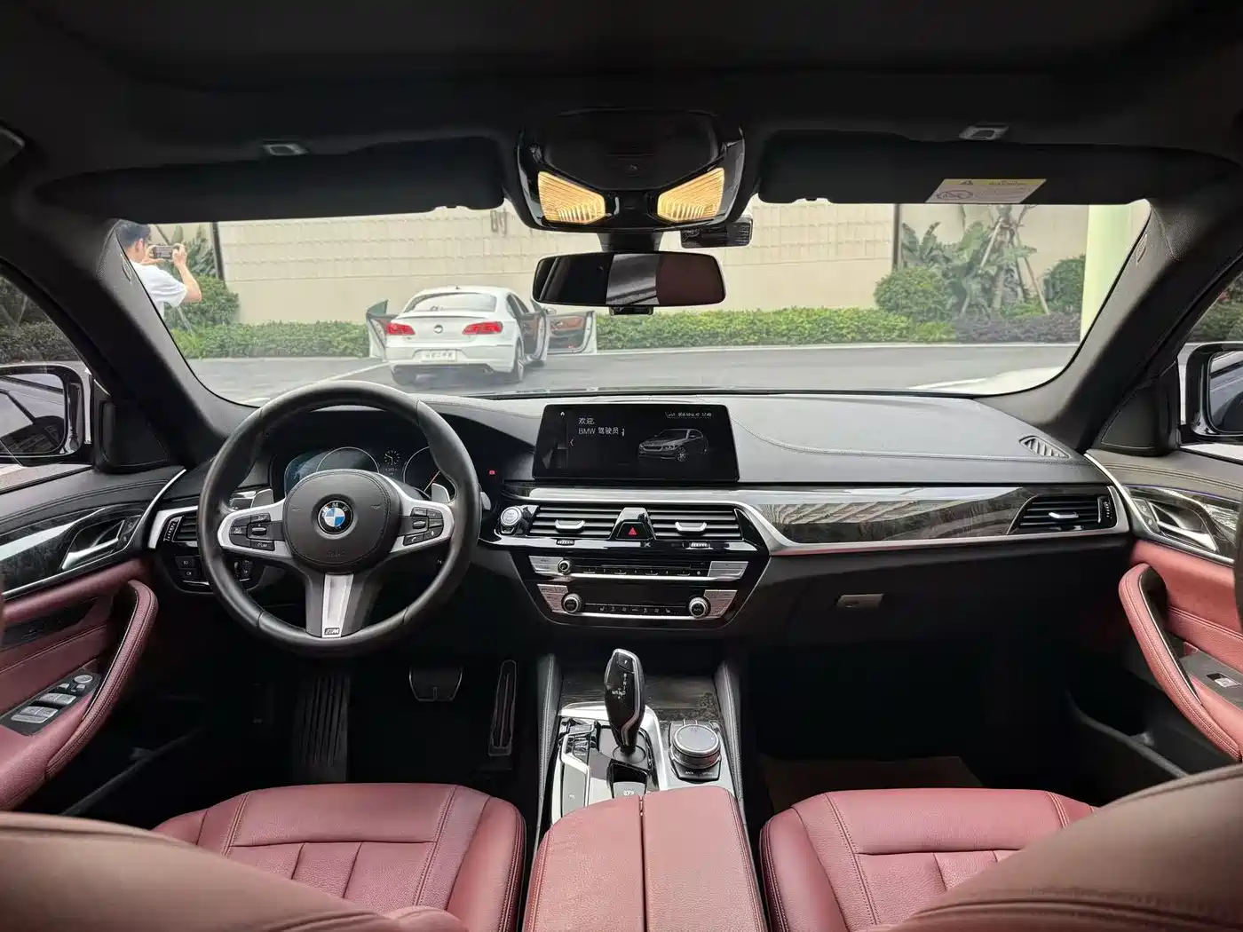 BMW 5 Series 2019 530Li Leading M Sport Package фото 13