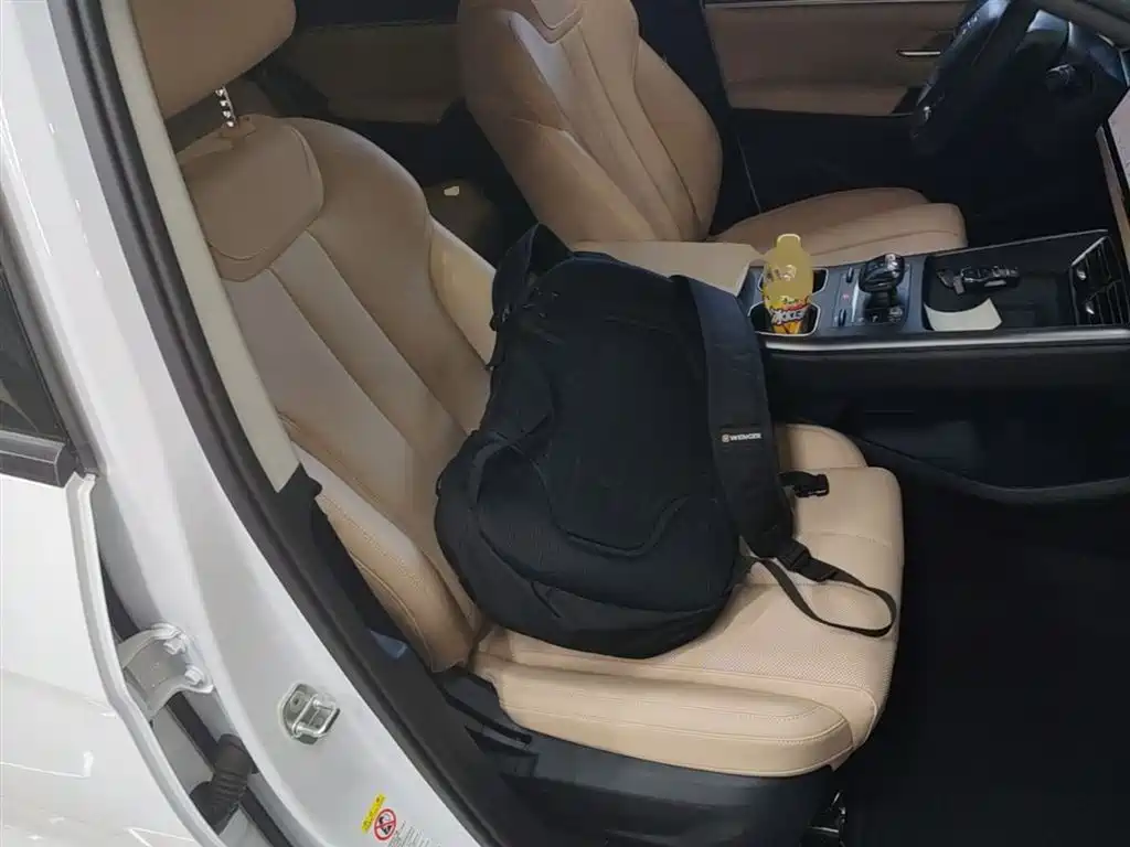 BYD Song Pro New Energy 2025 2nd Gen DM-i 75KM Leading Type фото 24