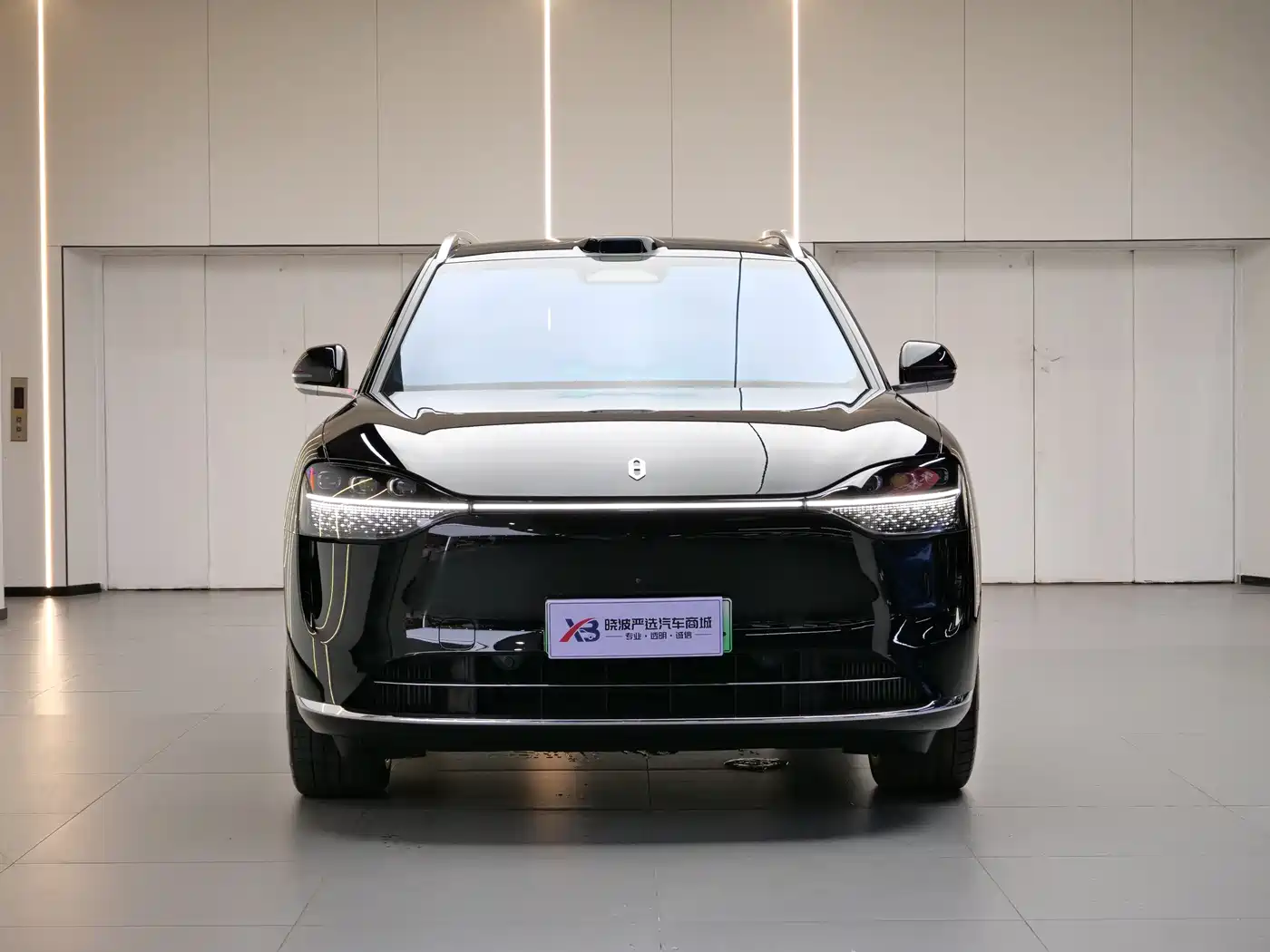 AITO Wenjie AITO M9 2024 Range Extender Max Edition 42kWh 6-seater фото 2
