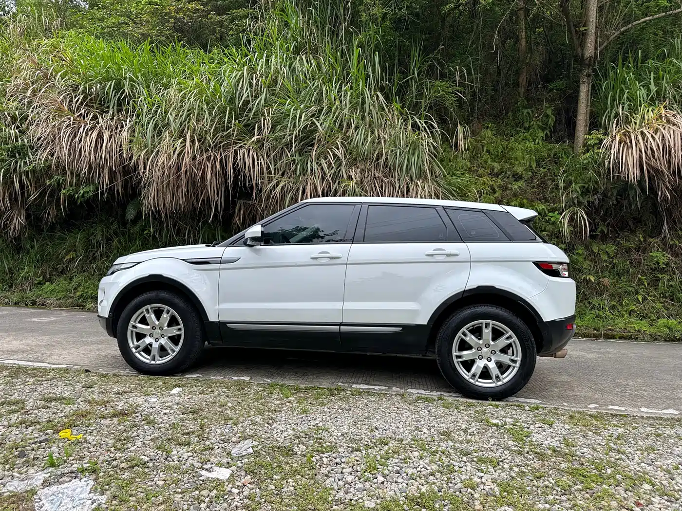 Land Rover Range Rover Evoque (Import) 2014 2.0T 5-door Brilliance Premium фото 31