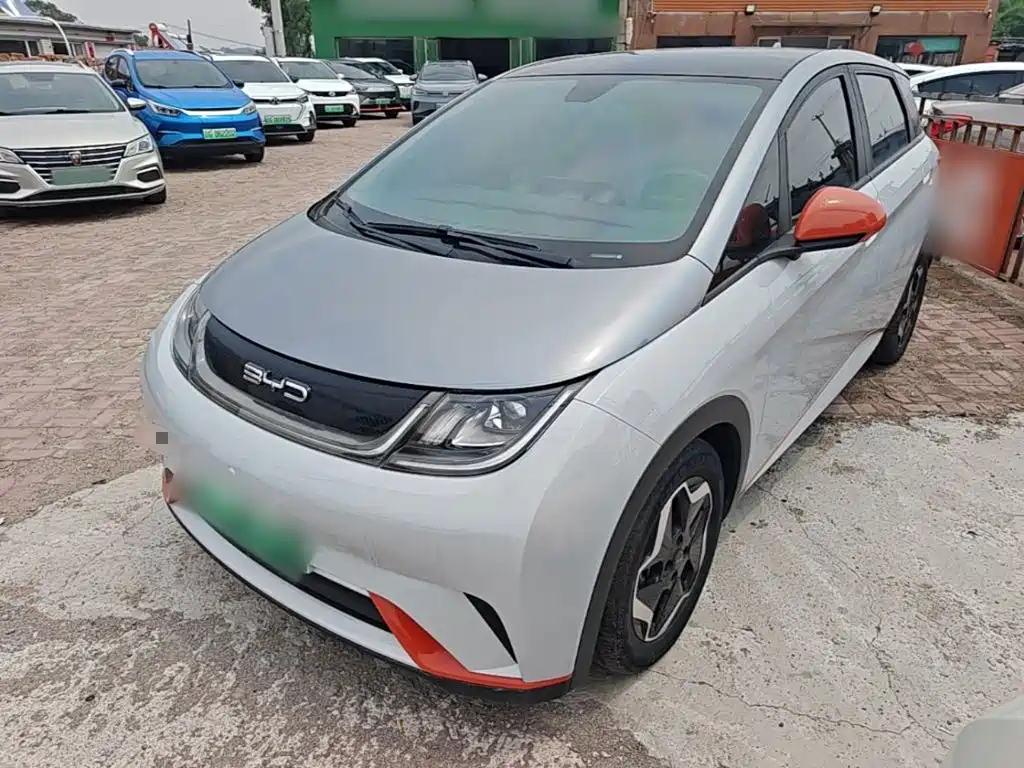 BYD Dolphin 2021 Model 405km Fashion Edition