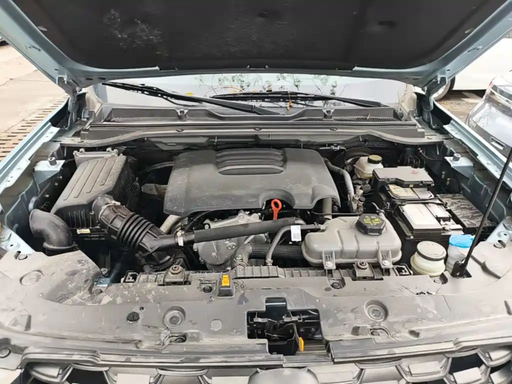 Great Wall King Kong Cannon 2025 2024 2.0T Manual Gasoline 2WD Startup Standard Bed