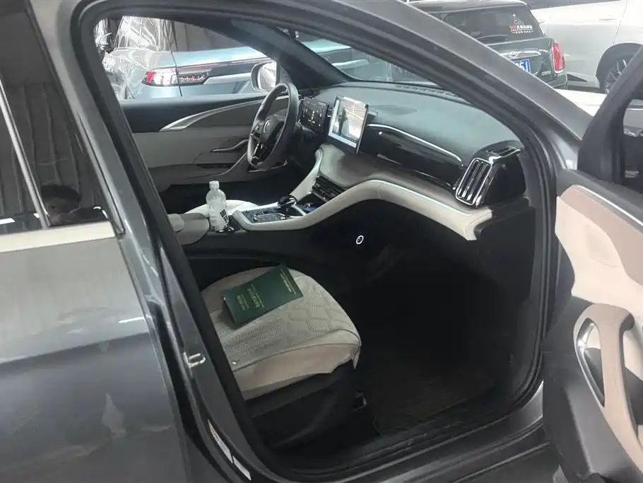 BYD SONGJIANG NEW ENERGY