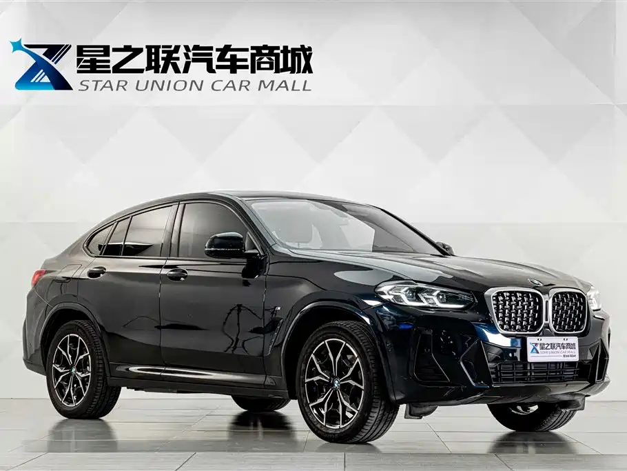 BMW X4 2023 2022 xDrive 25i M Sport Package