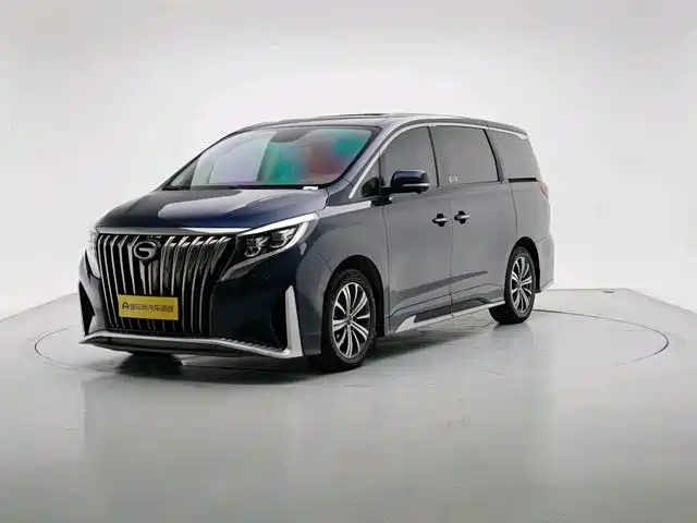 GAC Trumpchi Trumpchi M8 2020 Master Edition 390T Ultimate фото 3