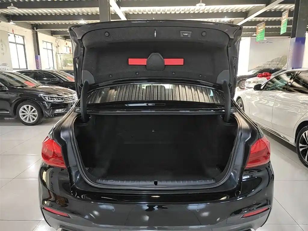 BMW 5 Series 2019 Facelift 525Li M Sport Package фото 19