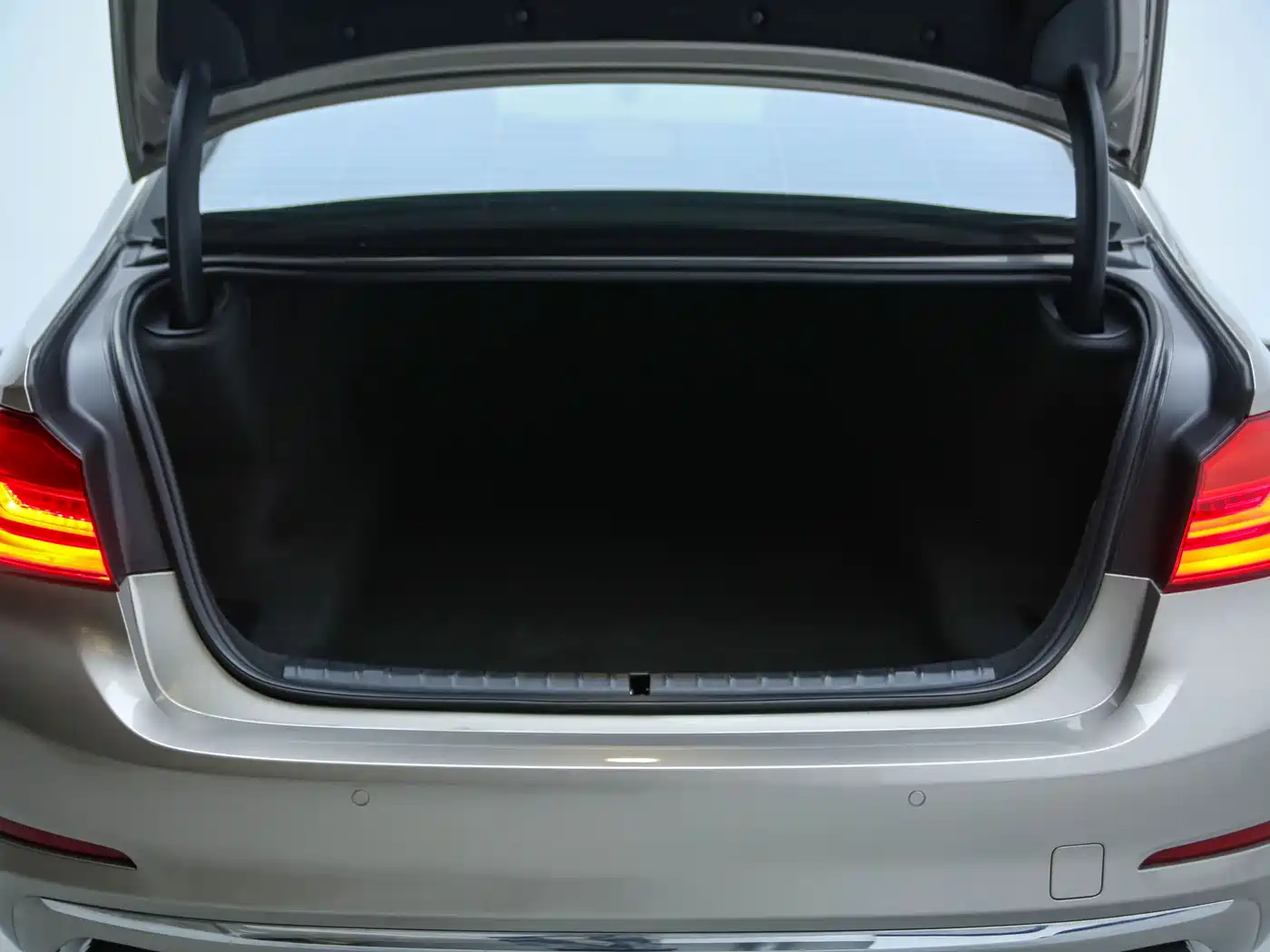 BMW 5 Series 2019 530Li Leading Luxury Package фото 30