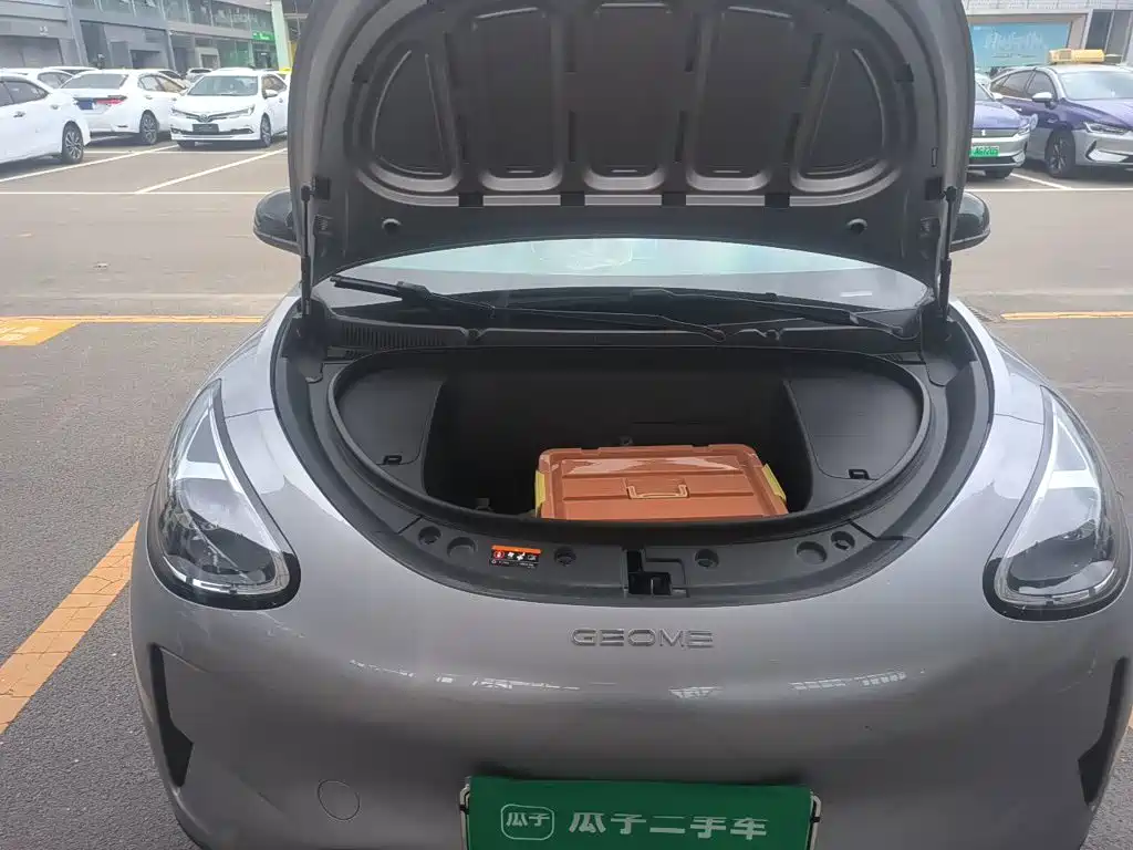 Geely Galaxy Starry Wish 2025 2025 310km Youth Edition